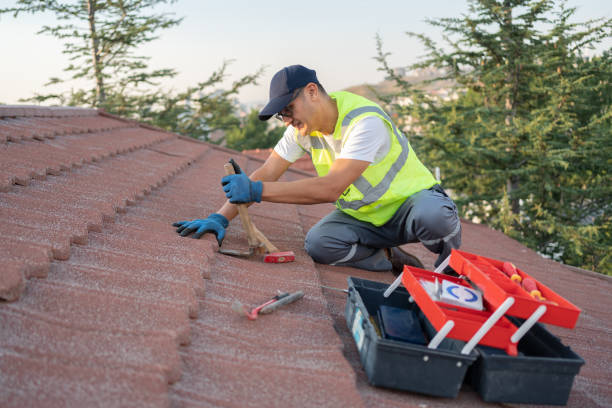 Best Roof Gutter Cleaning  in Valley Springs, CA